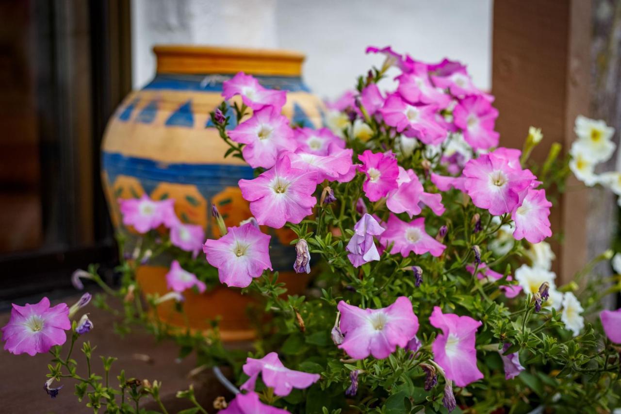 Sensom Boutique Bed And Breakfast Sapphire Beach Zewnętrze zdjęcie